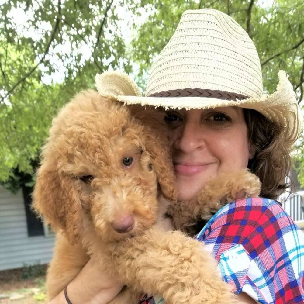 Meet your Posher, Bo